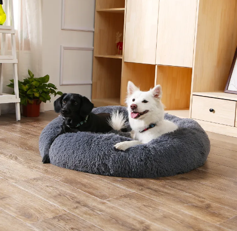 Dog settled in a calming bed as a safe space at home